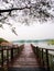 Amaizing everning scenery at wooden bridge in Botanical Garden Putrajaya Malaysia. The famous recreational park in Malaysia