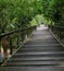 Amaizing view of wooden walking path at Botanical Garden Putrajaya. Park decoration concept