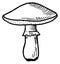 Amanita black line icon. Fly agaric sketch