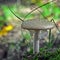 Amanita excelsa mushroom