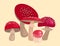 Amanita fly agaric toadstool mushrooms fungus different art style design vector illustration red hat