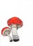 Amanita muscaria