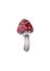 Amanita muscaria. Fly agaric mushroom. White spotted beautiful red mushrooms in natural context. Hand drawn watercolor isolated