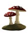 Amanita Muscaria Mushrooms