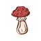 Amanita muscaria poison toxic mushroom illustration