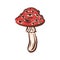 Amanita muscaria poison toxic mushroom illustration