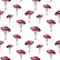 Amanita muscaria seamless pattern. Fly agaric mushroom. White spotted beautiful red mushrooms in natural context. Hand drawn