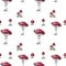 Amanita muscaria seamless pattern. Fly agaric mushroom. White spotted beautiful red mushrooms in natural context. Hand drawn