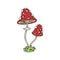 Amanita mushroom colorful sticker doodle. Vector image