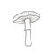 Amanita mushroom drawing. Vector linear illustration by hand in doodle style