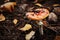 Amanita mushroom on forest ground covered with pine needles and fallen leaves