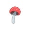 Amanita mushroom. Vector color freehand drawing in doodle style.