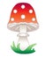 Amanita mushroom - vector full color picture. Cartoon bright red mushroom with white dots. Poisonous, beautiful mushroom