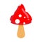 Amanita . Poisonous mushroom with red hat