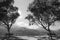 Amari valley in Crete with trees and benches. Greece