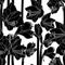 Amaryllis hippeastrum lilly flower branch black and white outline sketch seamless pattern. Spring floral bouquet foliage element.