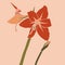 Amaryllis red flower in a minimalist trendy style. Silhouette of a plant in a contemporary simple abstract style. Vector