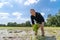 Amateur Asian man tests and tries to transplant rice seedlings in paddy rice field in the open sky day