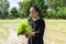 Amateur Asian man tests and tries to transplant rice seedlings in paddy rice field in the open sky day