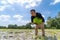 Amateur Asian man tests and tries to transplant rice seedlings in paddy rice field in the open sky day