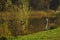 An amateur fisherman on the bank of a pond in a city park.