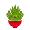 Amazed cactus with floers in a pot