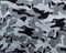 Amazing abstract closeup view of black and grey camouflage background