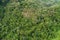 Amazing abundant forest Aerial view of forest trees Rainforest ecosystem and healthy environment background Texture of green trees