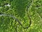 Amazing abundant mangrove forest, Aerial view of forest trees Rainforest ecosystem and healthy environment background, Texture of
