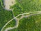 Amazing abundant mangrove forest Aerial view of forest trees Rainforest ecosystem and healthy environment background Texture of