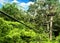 Amazing Adventure in Forest Flight of the Gibbon Angkor Flying Above the Temples in Siem Reap