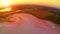 Amazing aerial sunset view of the ancient city Aigues-Mortes, large pink salt lake and marshes of the Camargue regional park