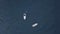 Amazing aerial top view of two yachts and swimming friends in dark blue water. Clip. People having fun in caribbean