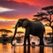 Amazing african elephants at sunset concept image