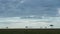 Amazing African landscape in Maasai Mara National Reserve, stormy sky with clouds rolling in, Acacia