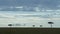 Amazing African landscape in Maasai Mara National Reserve, stormy sky with clouds rolling in, Acacia