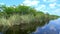 Amazing Airboat Ride through the Everglades of South USA
