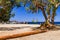 Amazing Ammoudi Beach in Crete island, Greece