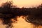 amazing atmospheric golden sunset over the river. the sun sets over the forest