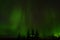 Amazing aurora borealis dancing on star filled autumn night sky over spruce trees