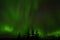 Amazing aurora borealis dancing on star filled autumn night sky over spruce trees