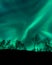 Amazing Aurora Borealis in North Norway above trees mo