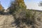 Amazing Autumn landscape of Cherna Gora Monte Negro mountain, Bulgaria