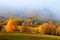 Amazing autumn landscape. Thick fog covered the valley, forest. Birch with orange leaves and golden grass. Location place