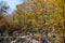 Amazing Autumn Landscape with yellow near Devil town in Radan Mountain