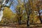 Amazing Autumn Landscape with yellow near Devil town in Radan Mountain