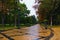 Amazing autumn morning landscape view of Saint Volodymyr Hill. Straight gray stone walkway along the colorful vibrant tree`s