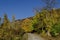 Amazing autumn view of glade, hill, forest with deciduous trees and road near to pretty village Zhrebichko