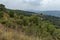 Amazing autumn view of glade, peak and forest with deciduous trees  in Sredna gora mountain