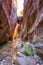 Amazing Avakas gorge, nature landscape, Cyprus